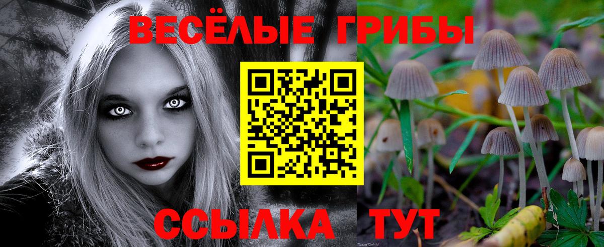 Мыски  Галлюциногенные грибы мицелий  Вход с VPN 